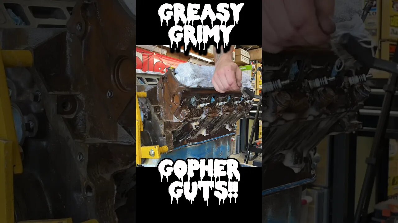 Greasy Grimy Gopher Guts! #shorts