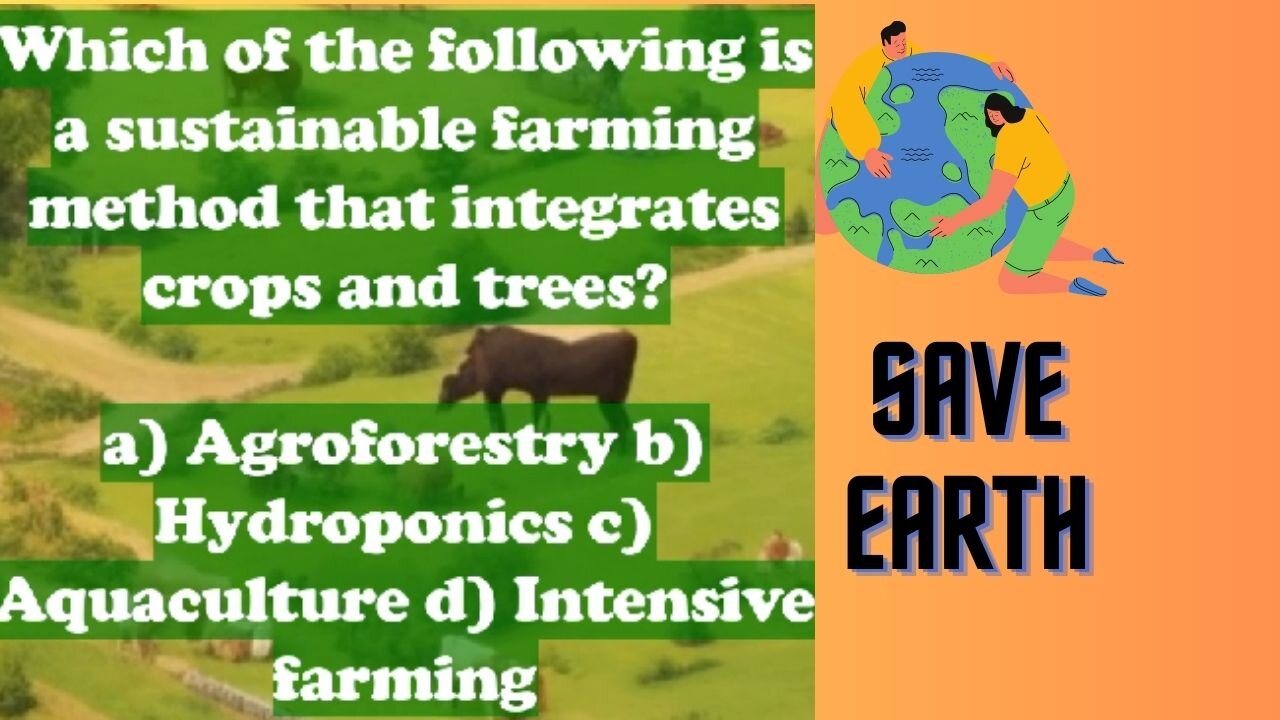 11th Aug 2023 - Challenge your understanding: Climate Change Quiz reveals eye-opening insights