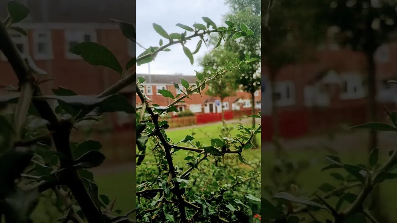 #veiws_viral_video_subscribers_grow #subscribe so strong that the to let sign has been knocked down