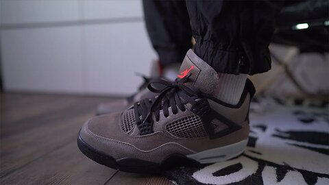 Air Jordan 4 Taupe Haze Review