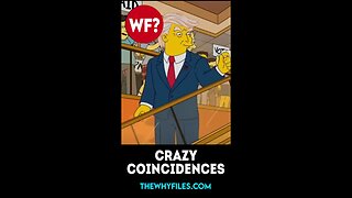 Crazy Coincidences 03 - The Why Files #shorts