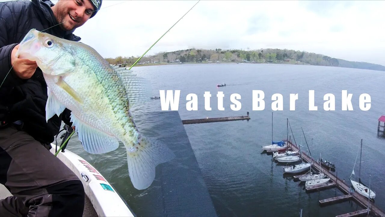 Locating the Biggest Crappie, Can I find them? Watts Bar Lake Tournament