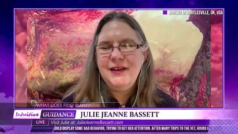 What Does Fido Want? - November 23, 2021