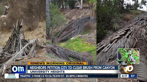 Neighbors petition city for more cleanup in fire-prone canyon