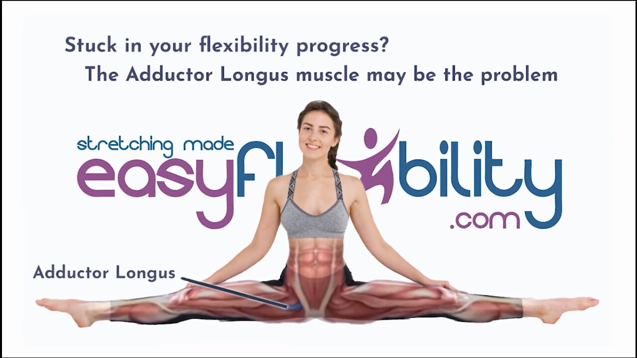 Stuck in your flexibility progress? The Adductor Longus muscle may be the problem