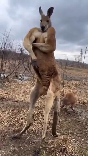 HEY MATE YOU WANT SOME OF THIS?