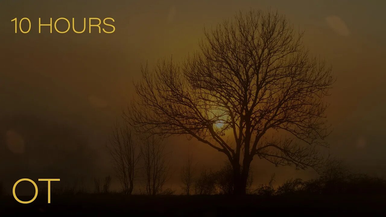 A Windy Foggy Evening in the Countryside | Soothing Wind & Blowing Leaves Ambience | 10 HOURS