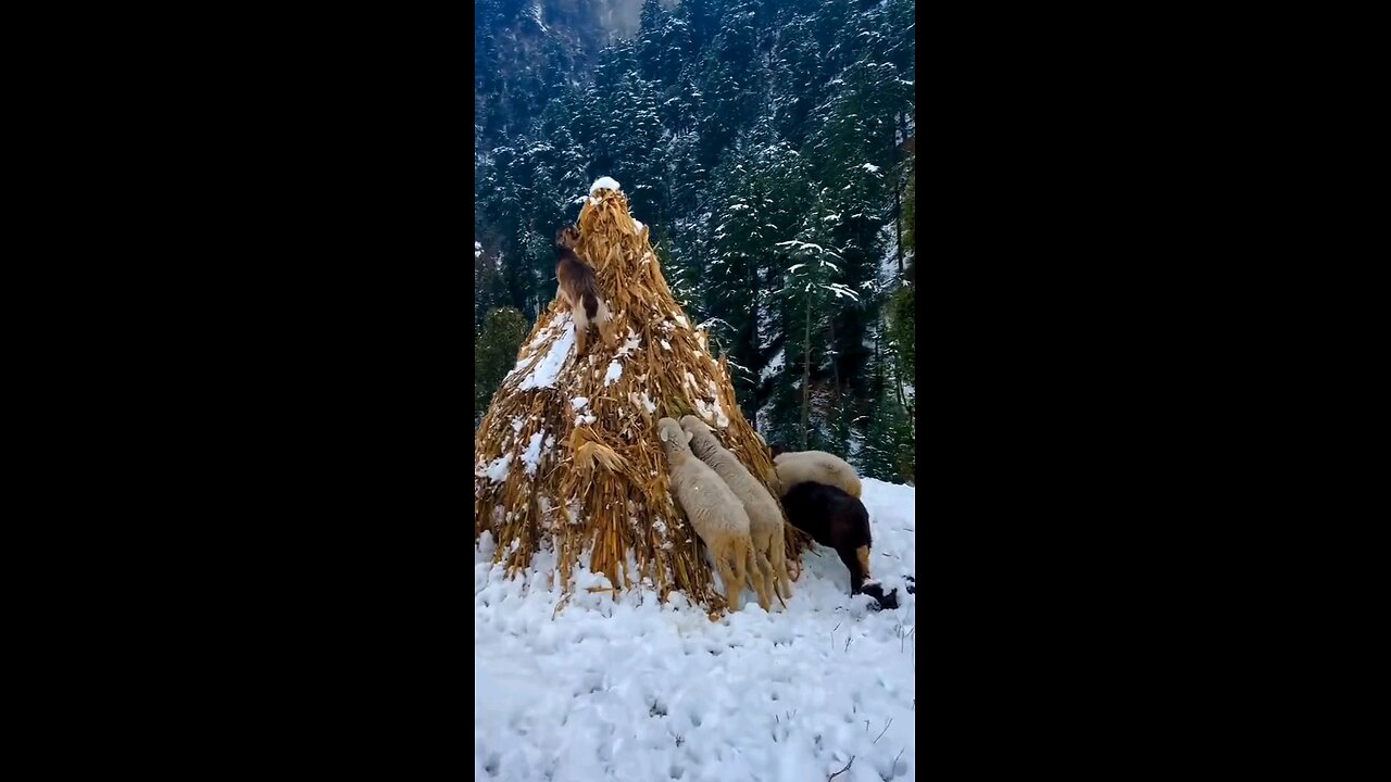 Natural Beauty Of Pakistan..❤️