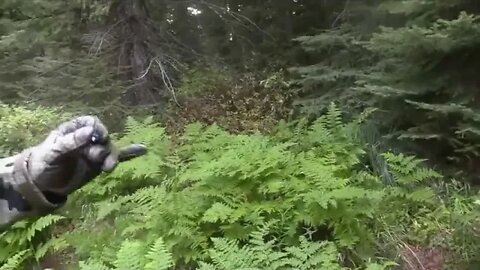 16 ! 2019 Idaho Archery Elk Public Land Hunt MARKSMAN'S CREED 6