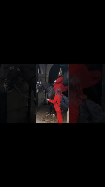 leave him stone please #horseguardsparade