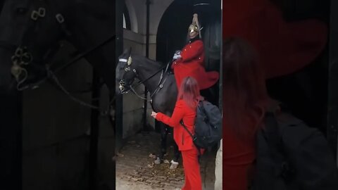 leave him stone please #horseguardsparade