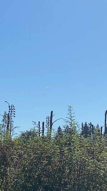 Contrail is not a chemtrail!