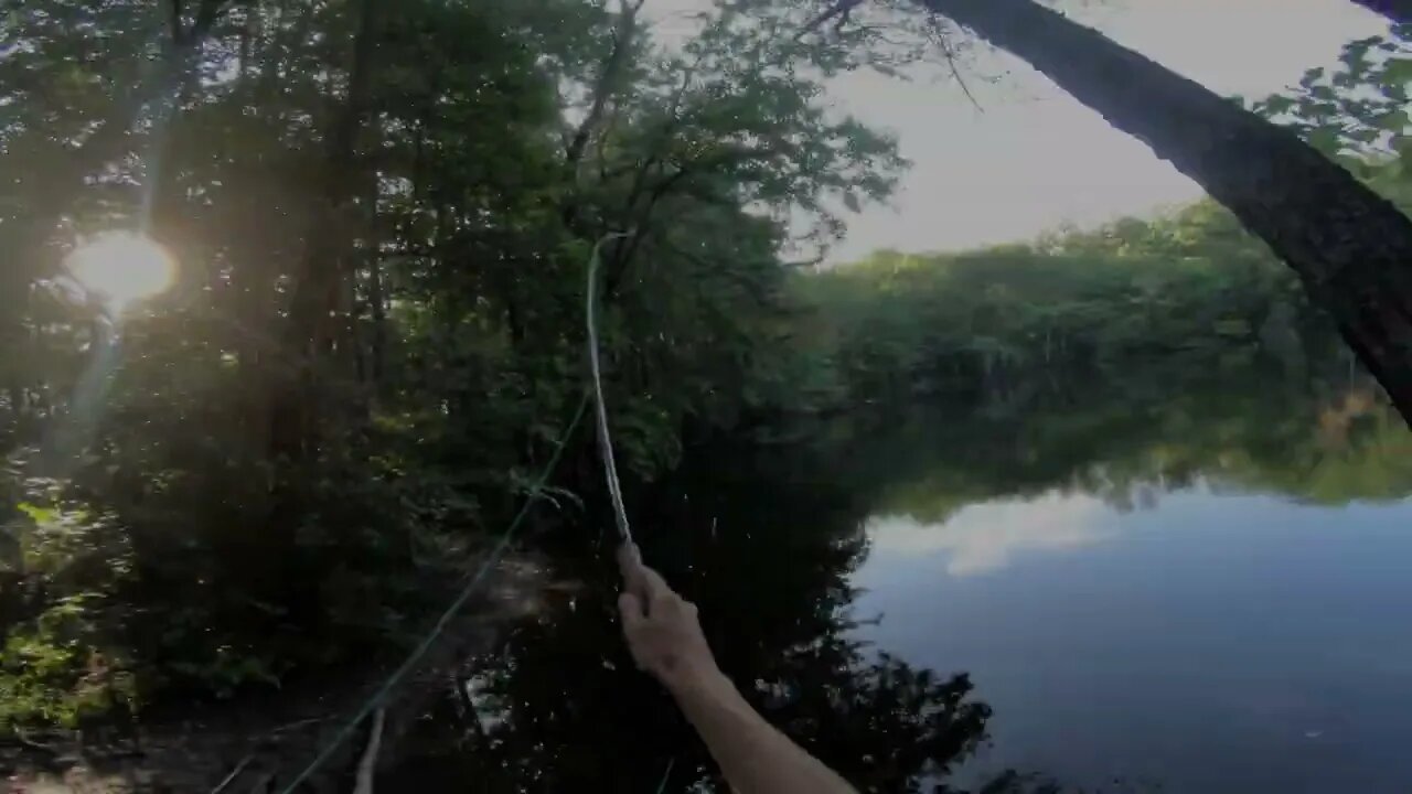 trying to fish this overgrown pond