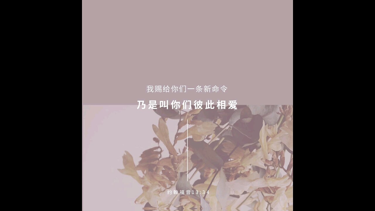分享今日经文。 愿主与我们同在。阿门