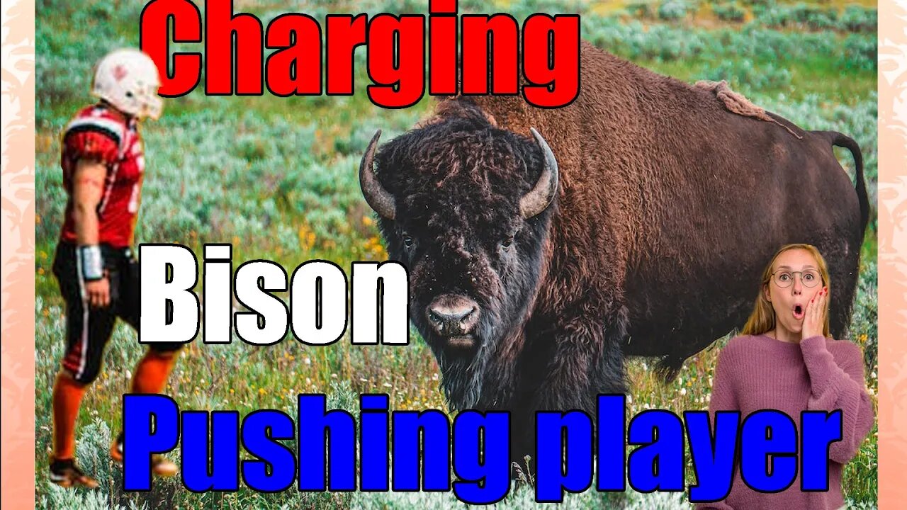 Raw Video of Bison Chasing and a Football Player Pushes Reaction