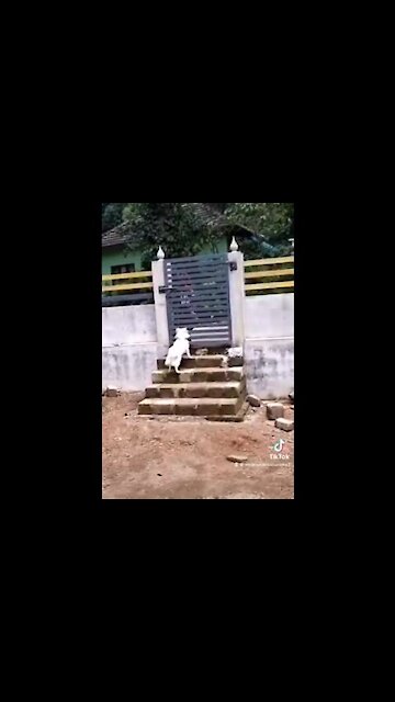 When her husband comes to see what she does please her love ...