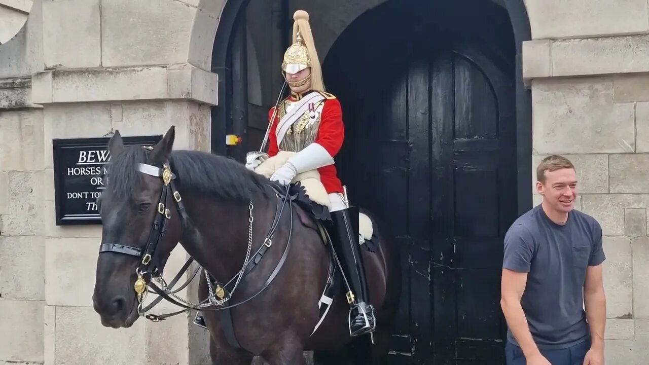 Cocky tourist gets a nip #horseguardsparade