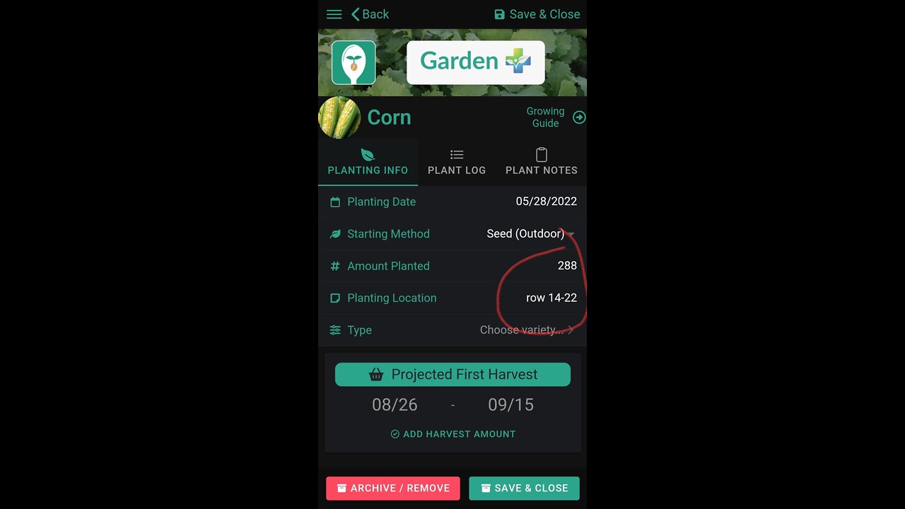 Ep.17 what has been walking around in my garden?