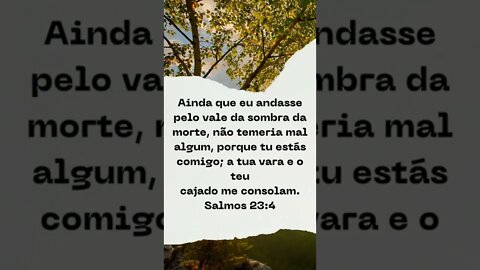 BOM DIA COM AS ESCRITURAS SAGRADAS.#shorts