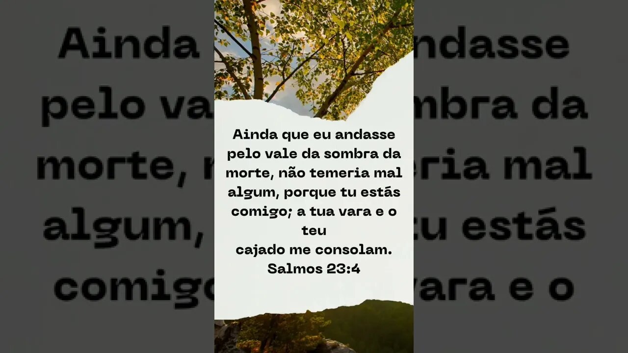 BOM DIA COM AS ESCRITURAS SAGRADAS.#shorts