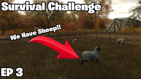 Survival Challenge OUR FIRST ANIMALS Episode 3 | Farming Simulator 25