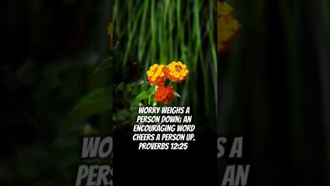 Proverbs 12:25 #worry #person #encourageing #flowers #cheers #God #christian #Jesus #bible