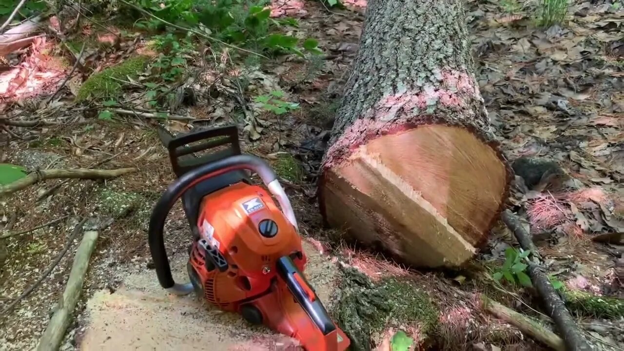 L34OOdt logging P-1