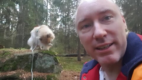 Political dissident fled to Belarus. Infiltrations. Evil DoJ. How to ignore "Thunberg" in Swedish