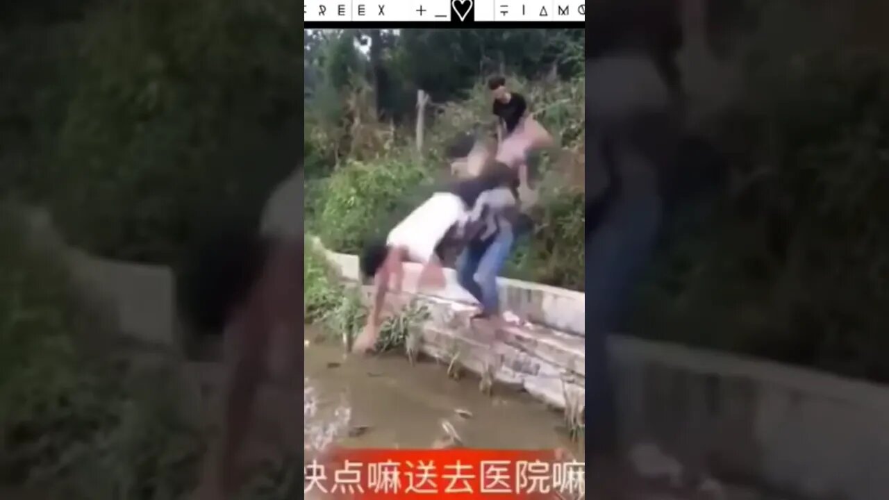 Compilado de Vídeos engraçados.