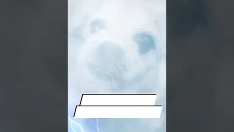 THUNDER GIZMO