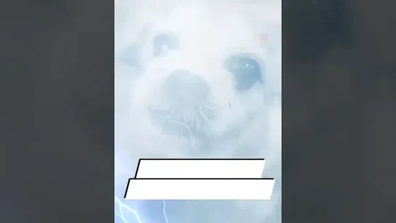 THUNDER GIZMO