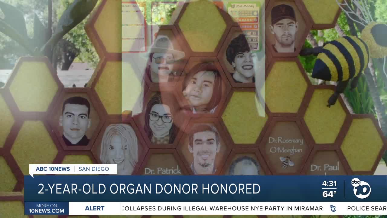 2-year-old organ donor remembered