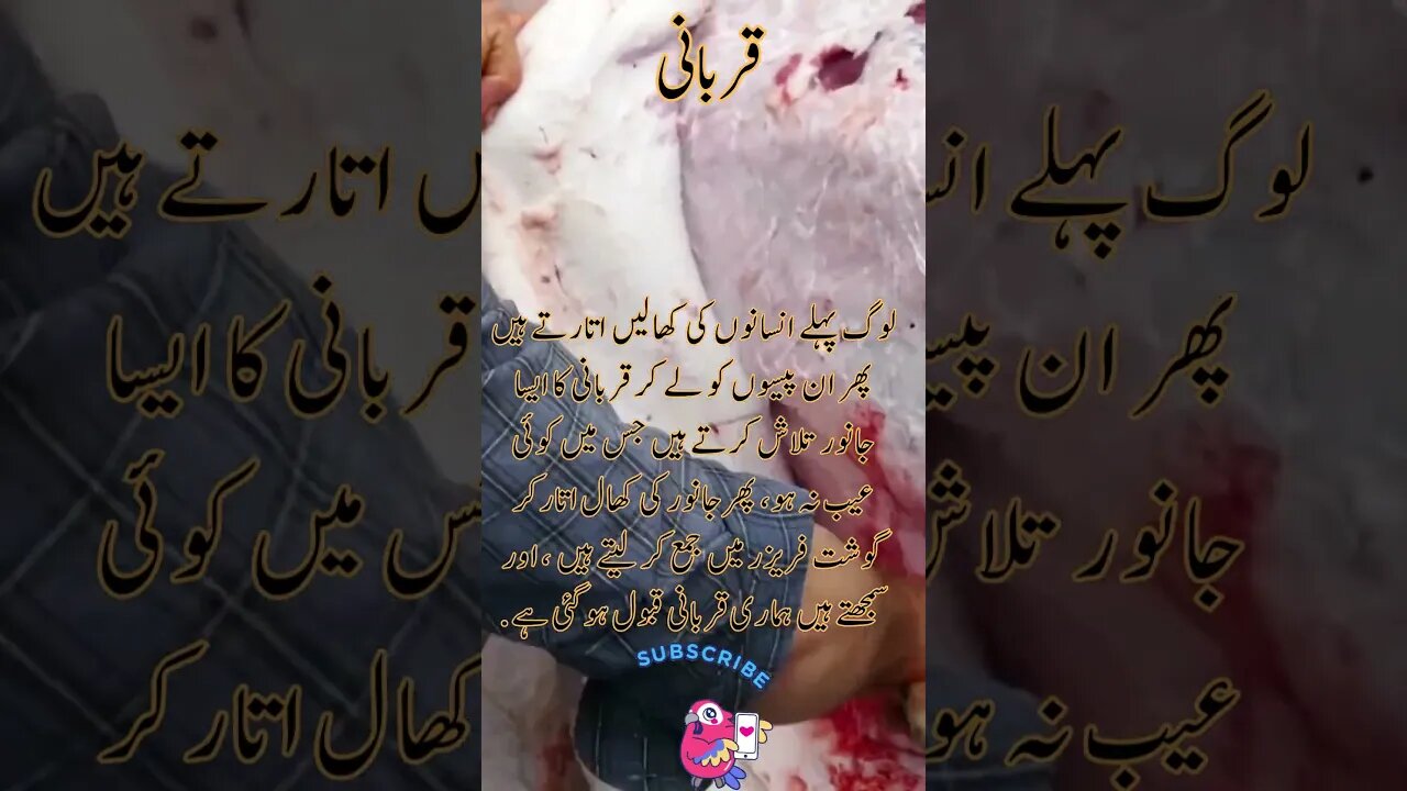 Qurbani interesting fact quote short Urdu viral