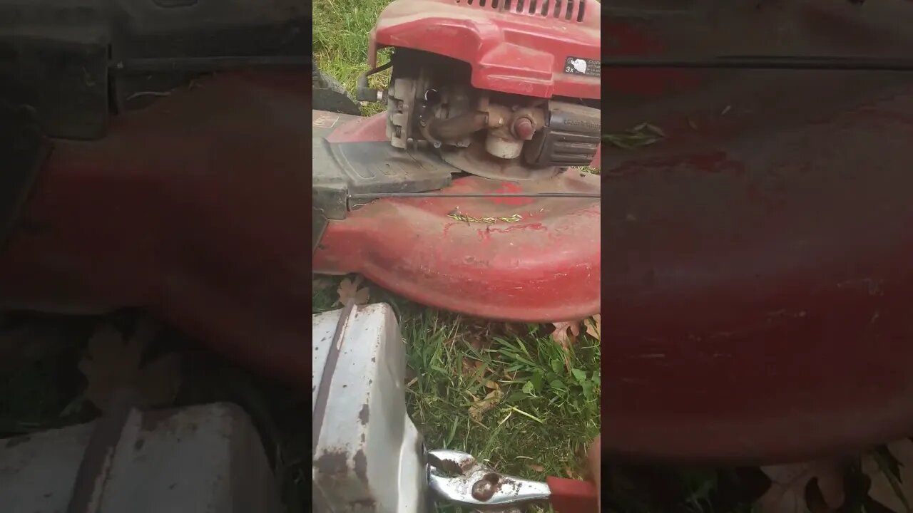 Lawn Mower May have too much Torque #lawnmowers #pushmower