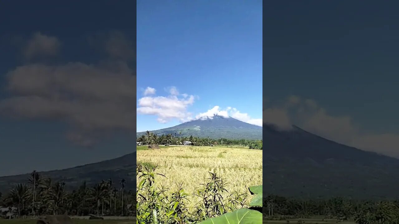 Indahnya Pemandangan Alam PEDESAANKU. #shortvideo #shorts #short