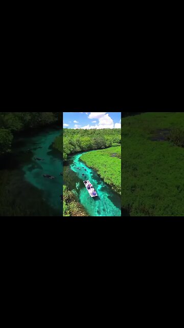 One of the most transparent and clean spring rivers on our planet.