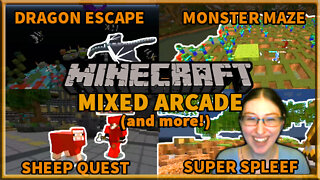 MARIO PARTY IN MINECRAFT(Mixed Arcade) with MY SISTERS!
