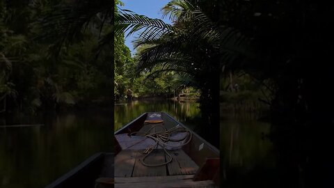 Jungle River Boat Ride: Relaxing Music with Sounds of Jungle Birds #shorts