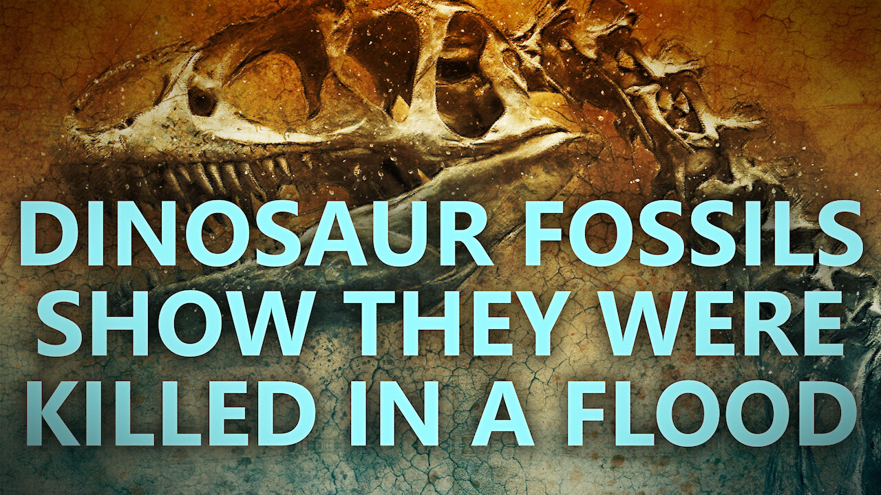 Dinosaur fossils suggest they were killed in a flood