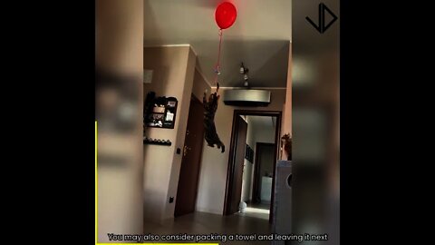 Insane Jumping Skills!