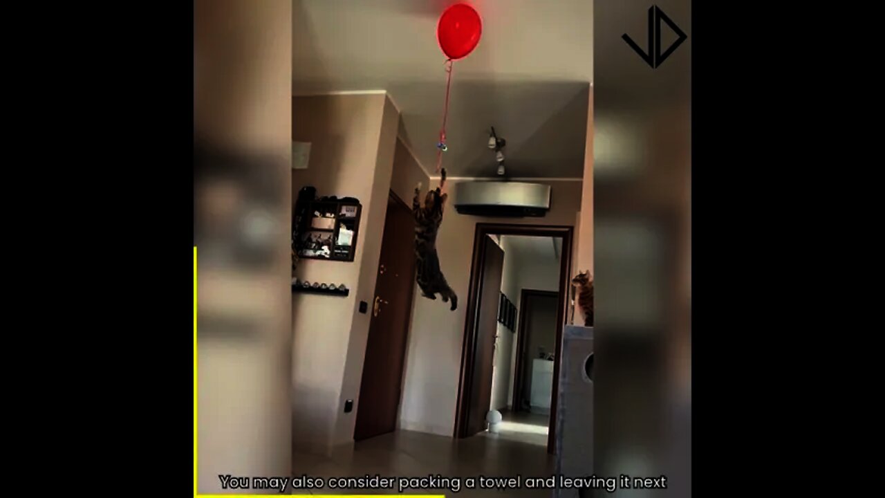 Insane Jumping Skills!