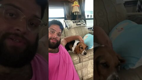 Staying cool with Sadie