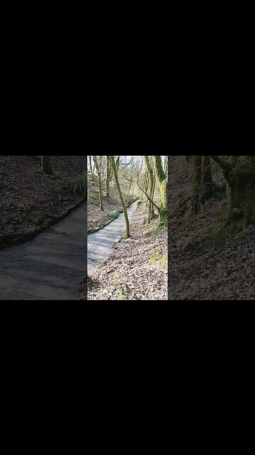 Chilled Days Like These...