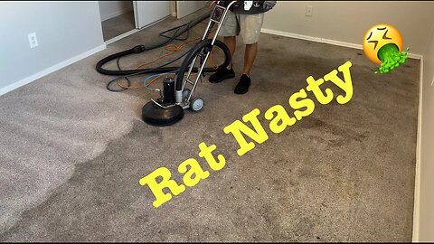 Dirty Carpets come clean