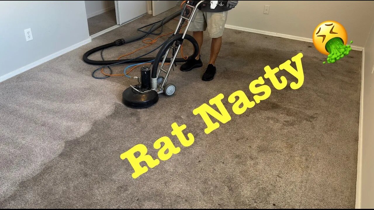 Dirty Carpets come clean
