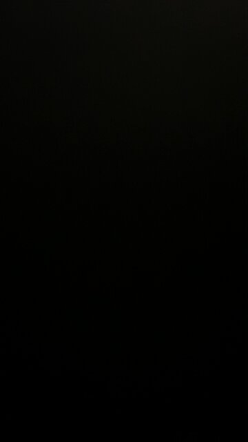 Donald Trump’s Net Worth