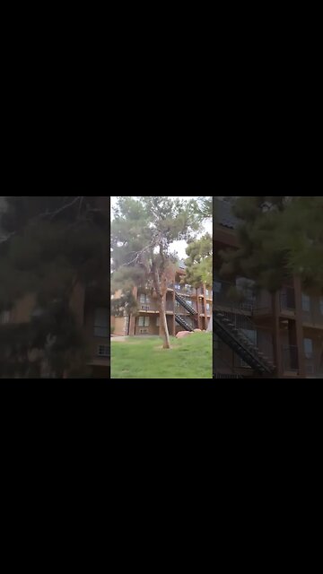 something you RARELY see in Las Vegas #lasvegas