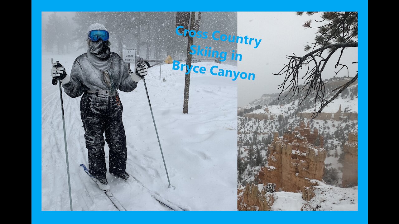 Blizzards among the Bristlecones