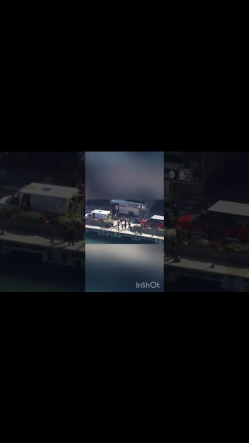 3 year old pushed in Lake Michigan by Aunt #shorts #chicago #navypier