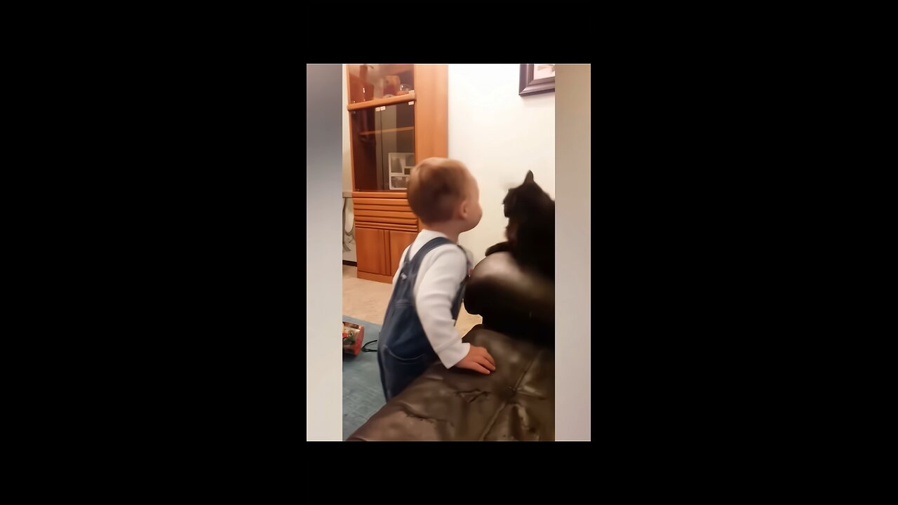 Cats and babies 🥹🤣